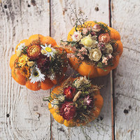 Dried Flower Pumpkin Workshop