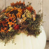Dried Flower Pumpkin Workshop
