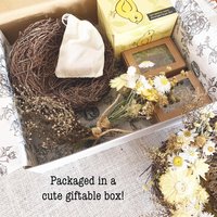 Birds Nest Natural Craft Kit: DIY Spring Gift with Dried Flowers and Beeswax Candle