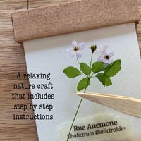 DIY Pressed Flower Herbarium Kit – Set of 4 Mini Frames, Native Wildflower Wall Art Craft, First Bloom Collection