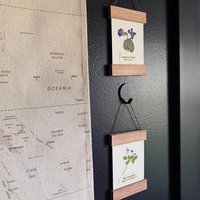 DIY Pressed Flower Herbarium Kit – Set of 4 Mini Frames, Native Wildflower Wall Art Craft, First Bloom Collection