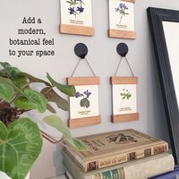 DIY Pressed Flower Herbarium Kit – Set of 4 Mini Frames, Native Wildflower Wall Art Craft, First Bloom Collection