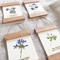 DIY Pressed Flower Herbarium Kit – Set of 4 Mini Frames, Native Wildflower Wall Art Craft, First Bloom Collection