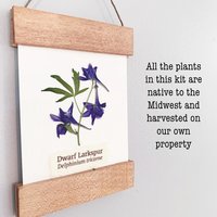 DIY Pressed Flower Herbarium Kit – Set of 4 Mini Frames, Native Wildflower Wall Art Craft, First Bloom Collection