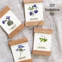 DIY Pressed Flower Herbarium Kit – Set of 4 Mini Frames, Native Wildflower Wall Art Craft, First Bloom Collection