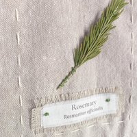 DIY Botanical Herbarium Wall Hanging – Slow Stitching Embroidery Kit with Pressed Herbs, Linen Wall Decor Craft