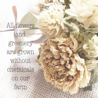Soft Linen Dried Flower Wreath Kit | DIY Neutral Wreath | Farm-Grown Flowers | Botanical Craft Kit | Natural Grapevine Wreath