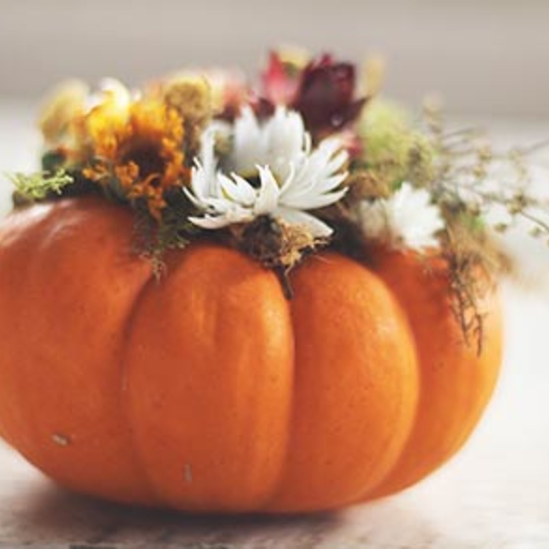 Dried Flower Pumpkin Workshop