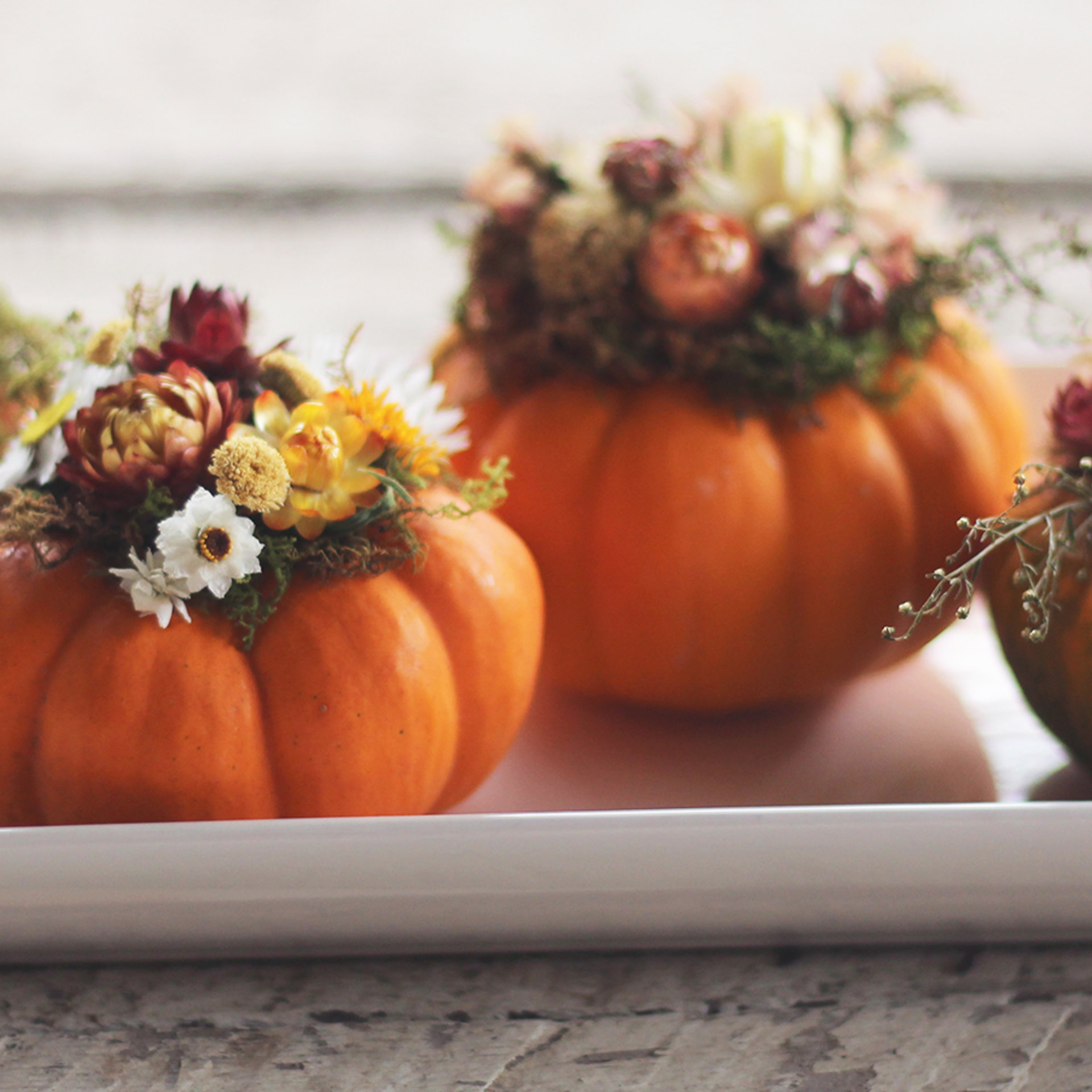 Dried Flower Pumpkin Workshop