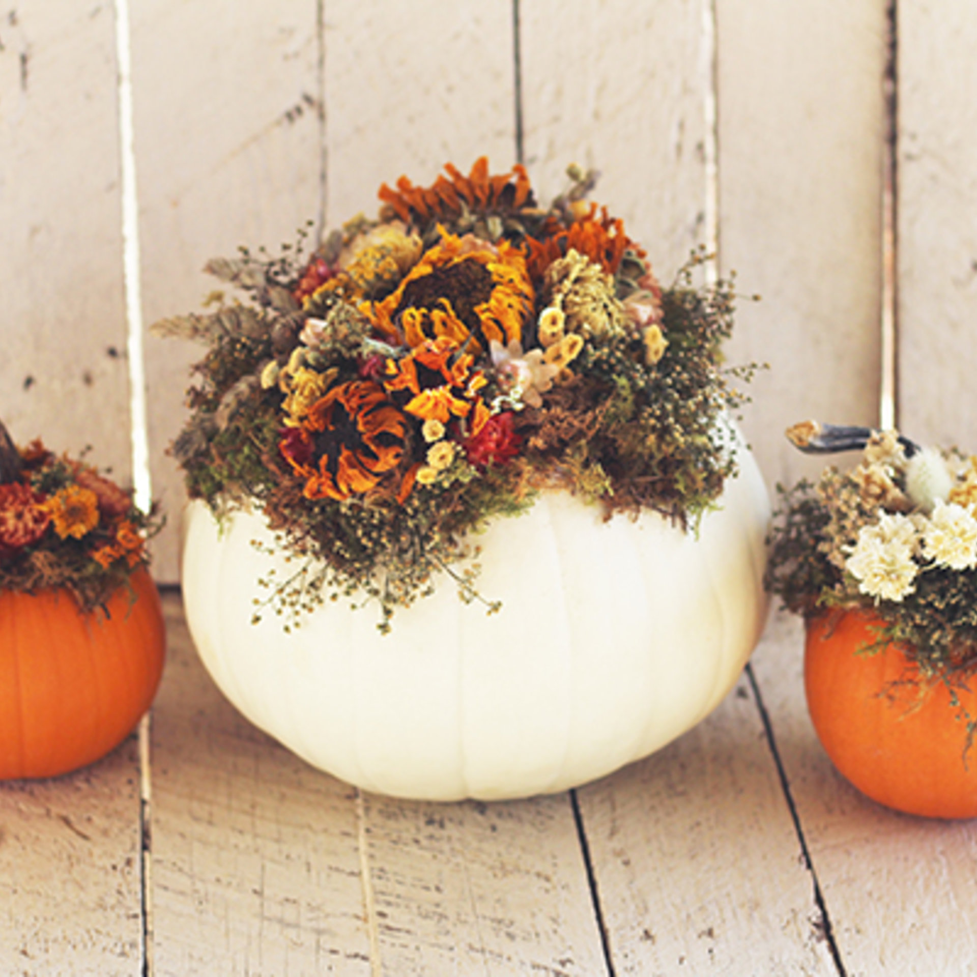Dried Flower Pumpkin Workshop