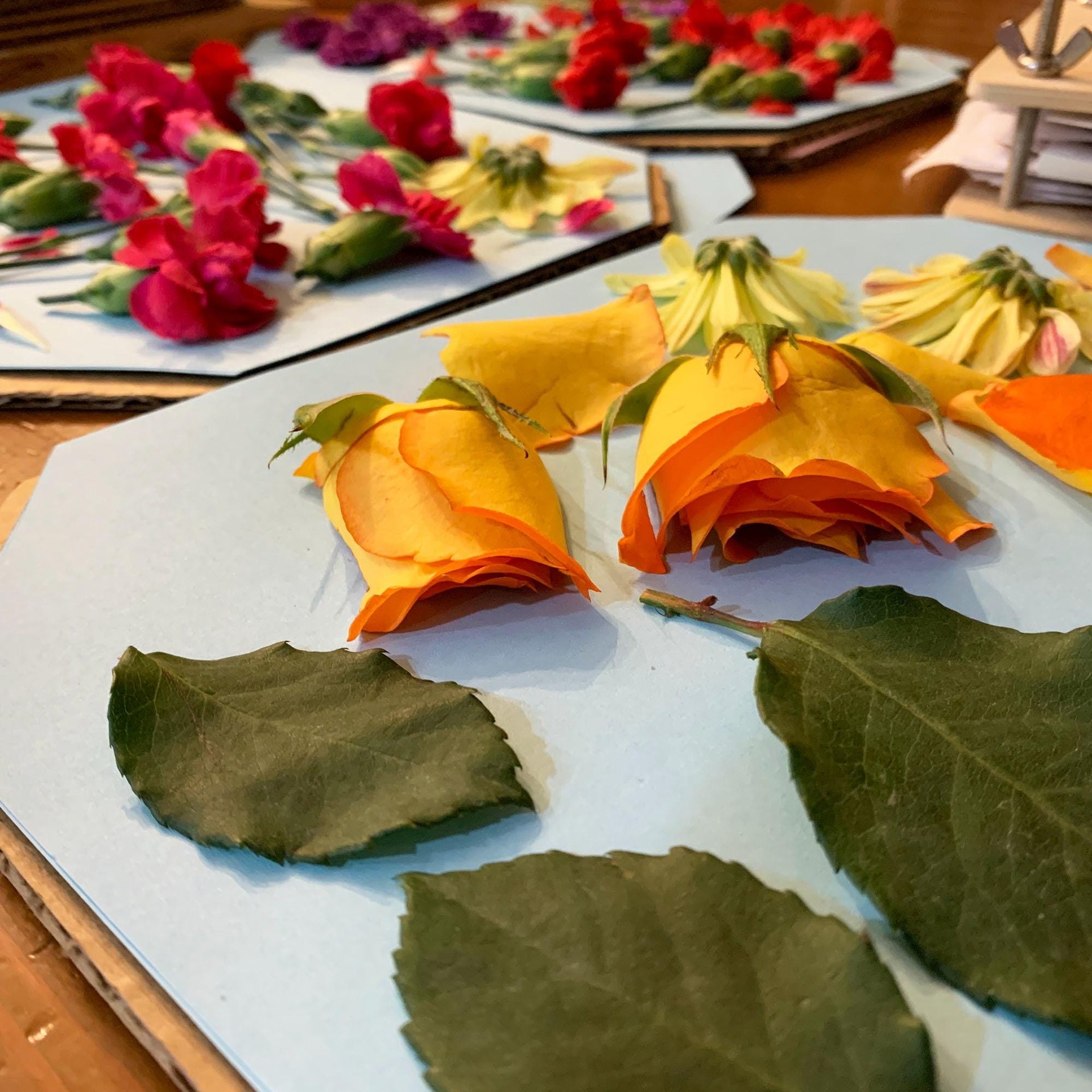 Rustic Pressed Flowers in Watercolor Bucket - Wall Art