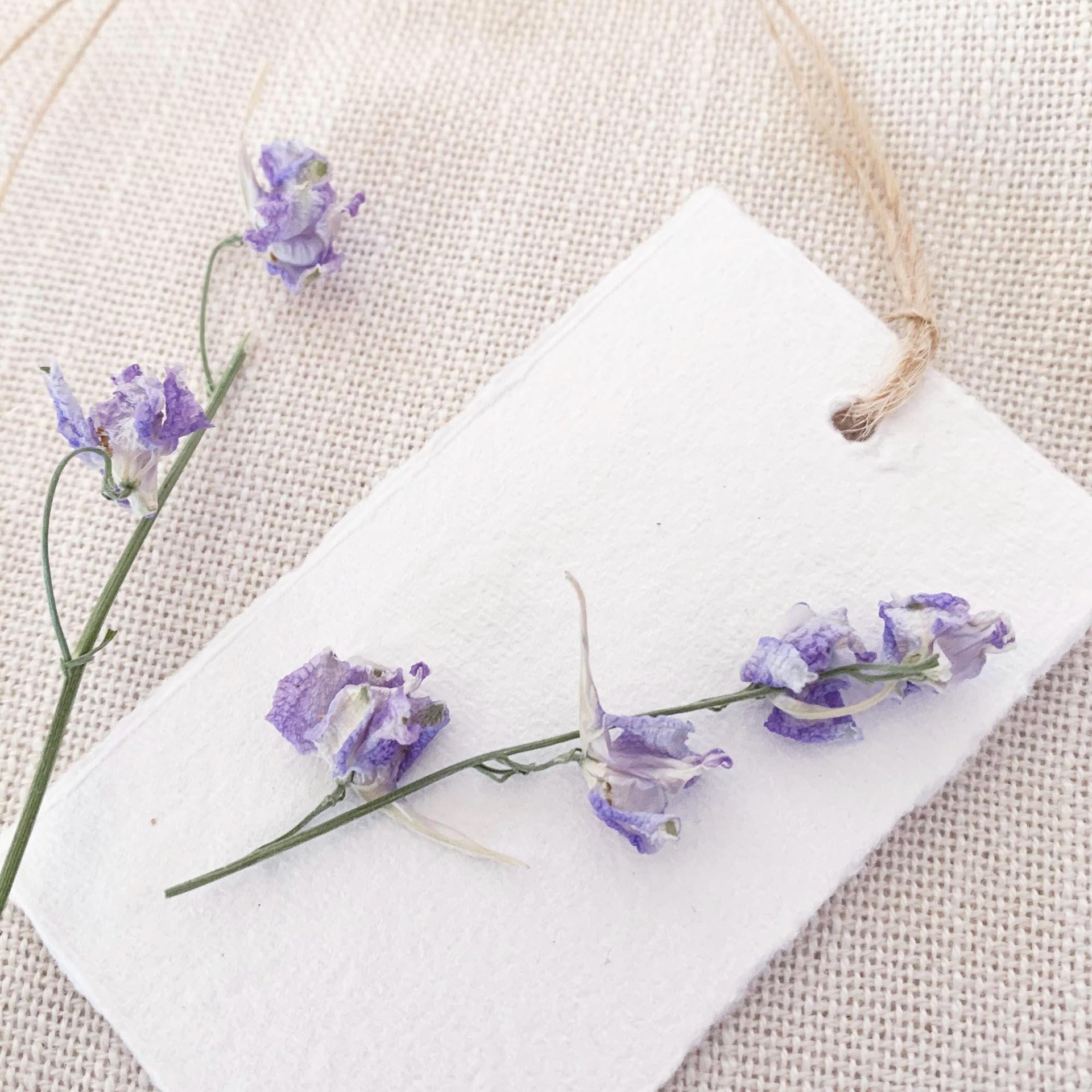 Garden Botanical DIY Gift Tag Kit - Floral Handmade Paper, Farm Grown Dried Flowers