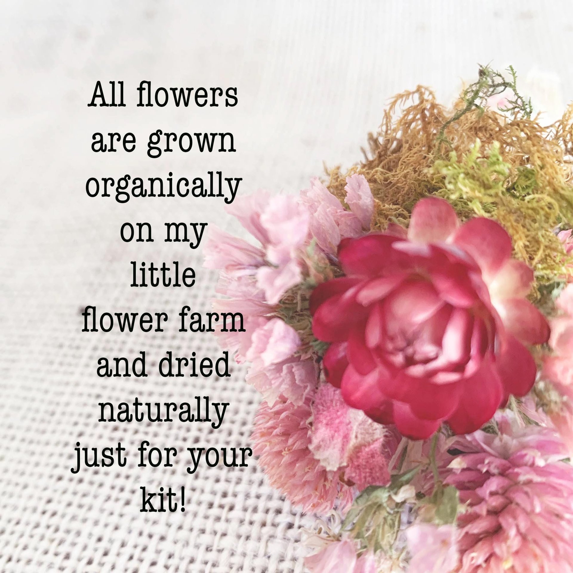 Teacher Gift DIY Kit – Dried Flower Magnets, End of Year Teacher Appreciation Gift, Thank You Teacher Gift, Classroom Gift Idea