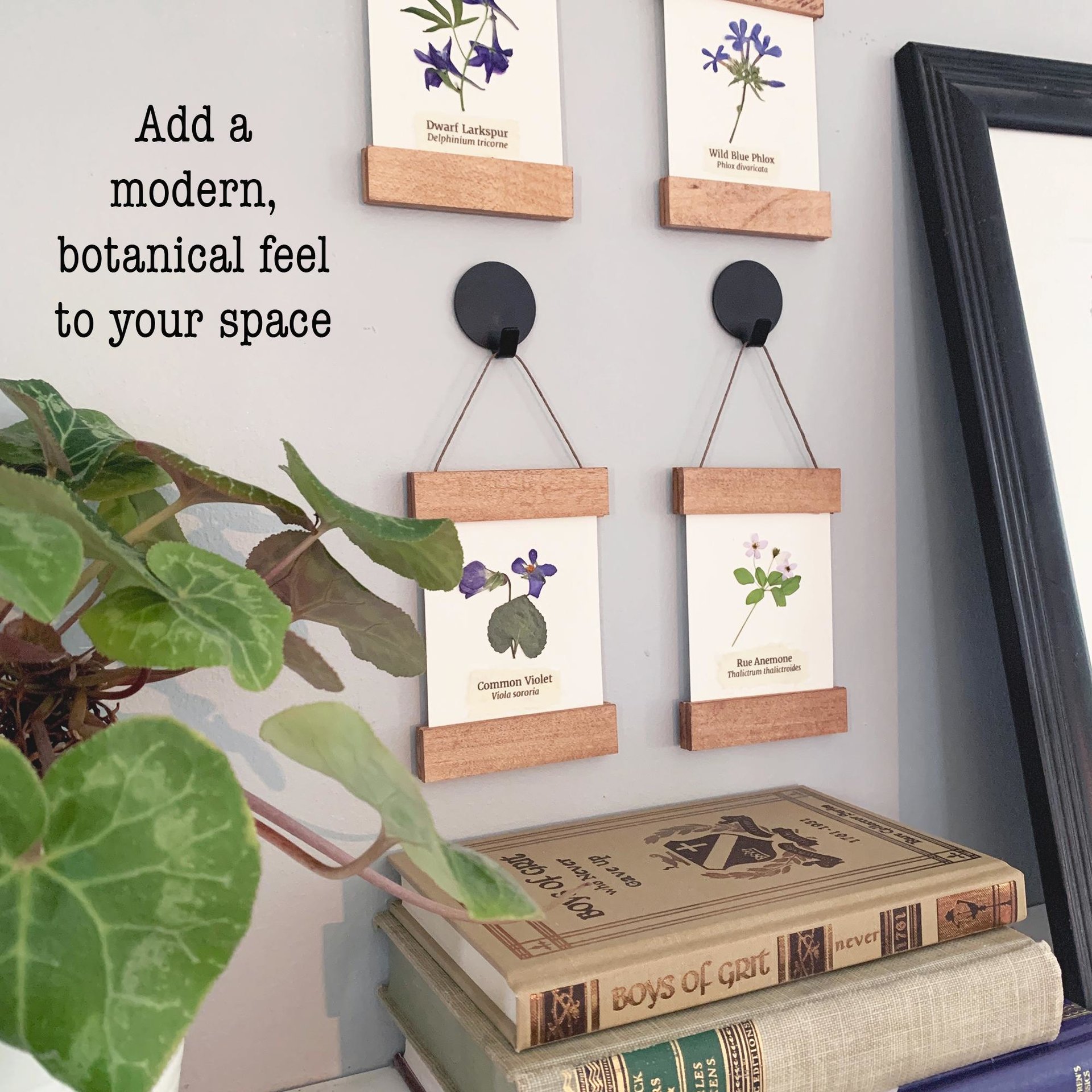 DIY Pressed Flower Herbarium Kit – Set of 4 Mini Frames, Native Wildflower Wall Art Craft, First Bloom Collection