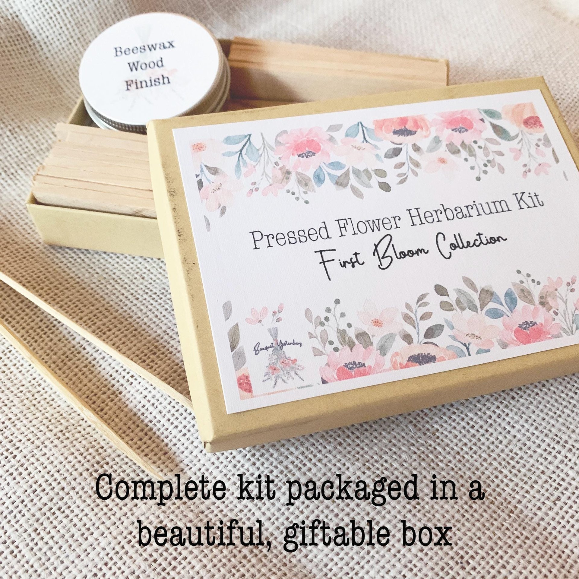 DIY Pressed Flower Herbarium Kit – Set of 4 Mini Frames, Native Wildflower Wall Art Craft, First Bloom Collection