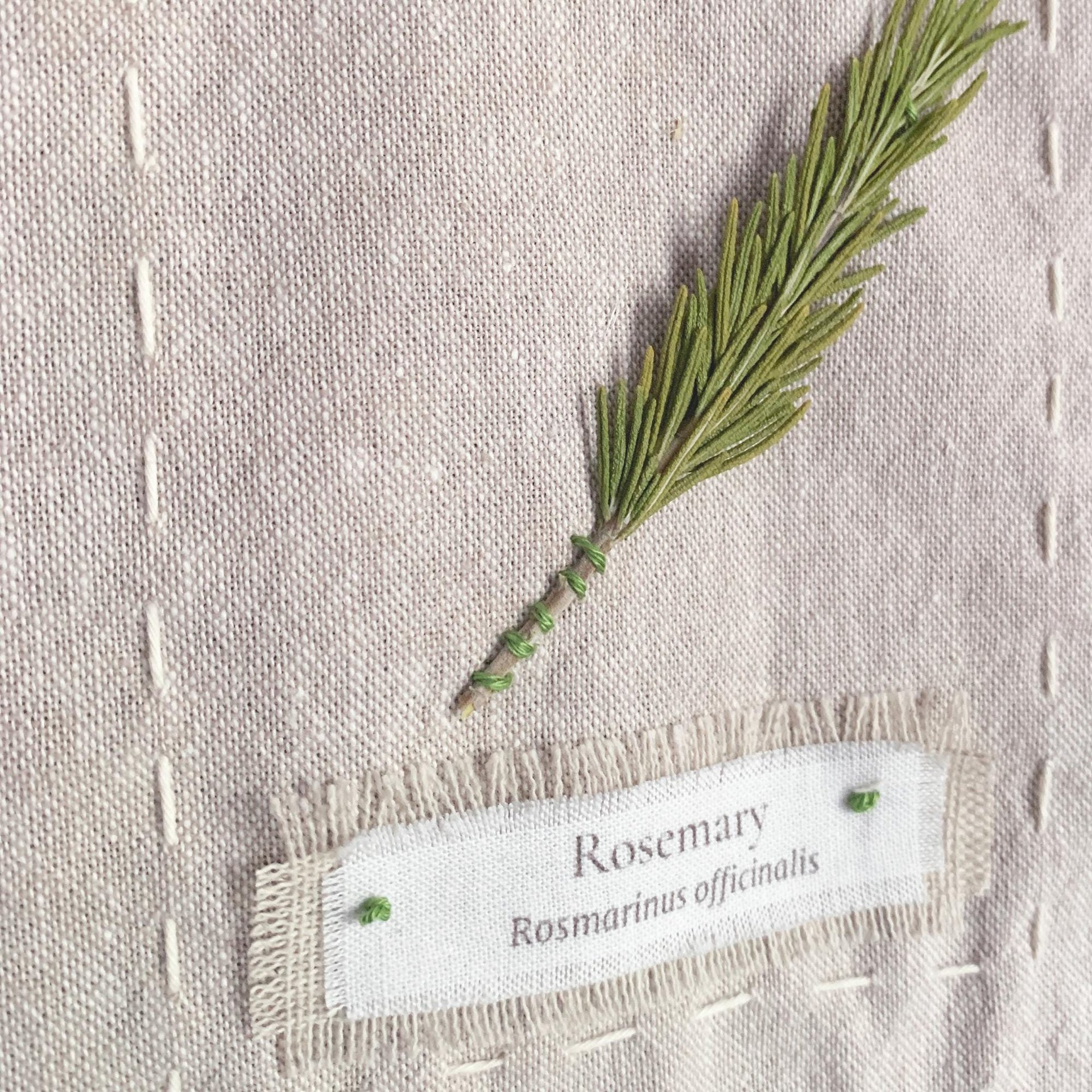DIY Botanical Herbarium Wall Hanging – Slow Stitching Embroidery Kit with Pressed Herbs, Linen Wall Decor Craft
