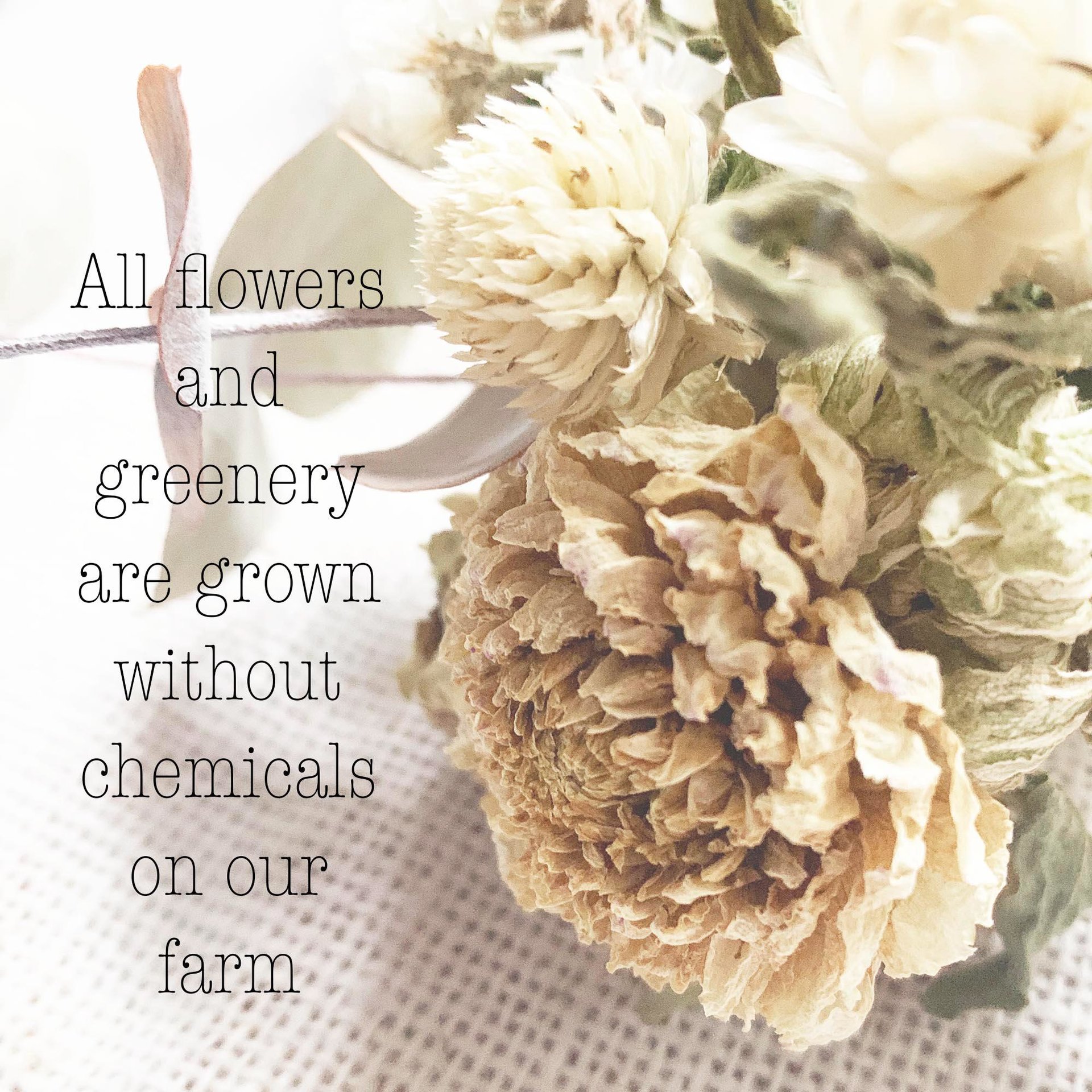 Soft Linen Dried Flower Wreath Kit | DIY Neutral Wreath | Farm-Grown Flowers | Botanical Craft Kit | Natural Grapevine Wreath