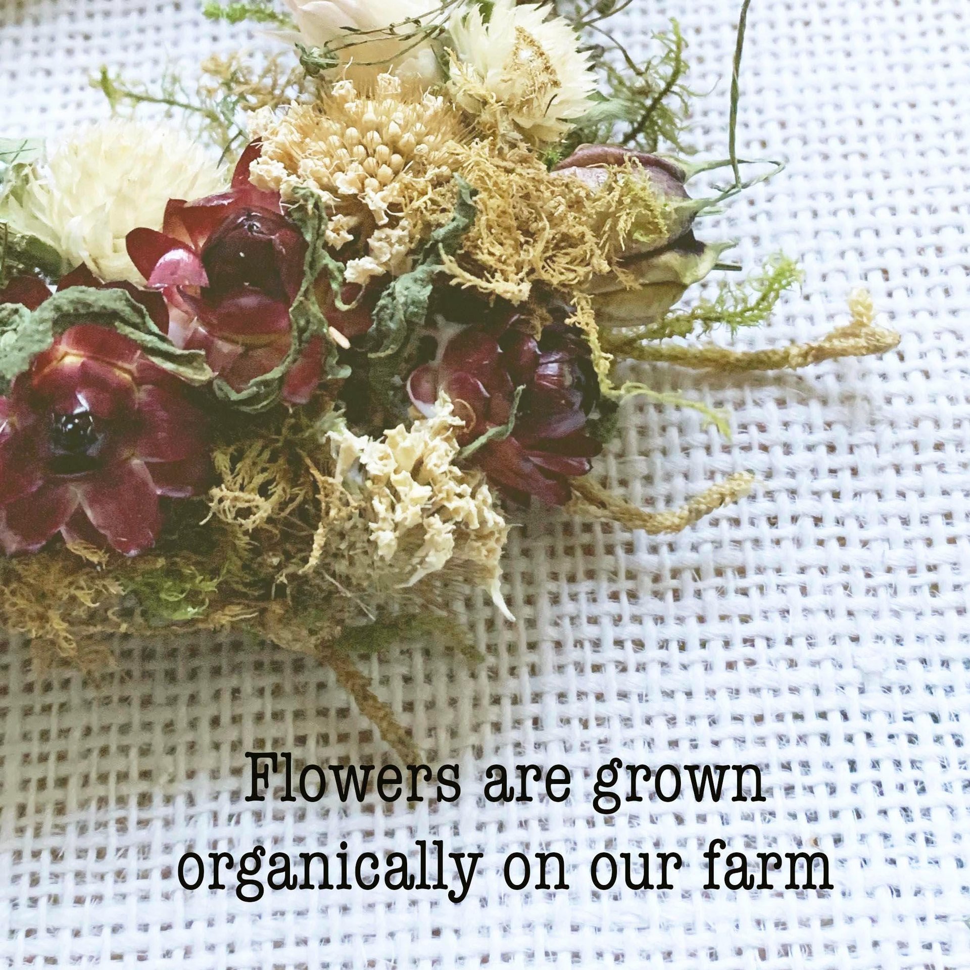 Winter Berry Dried Flower Ornament Kit | Set of 4 | Natural Christmas Craft | Farm Grown Flowers