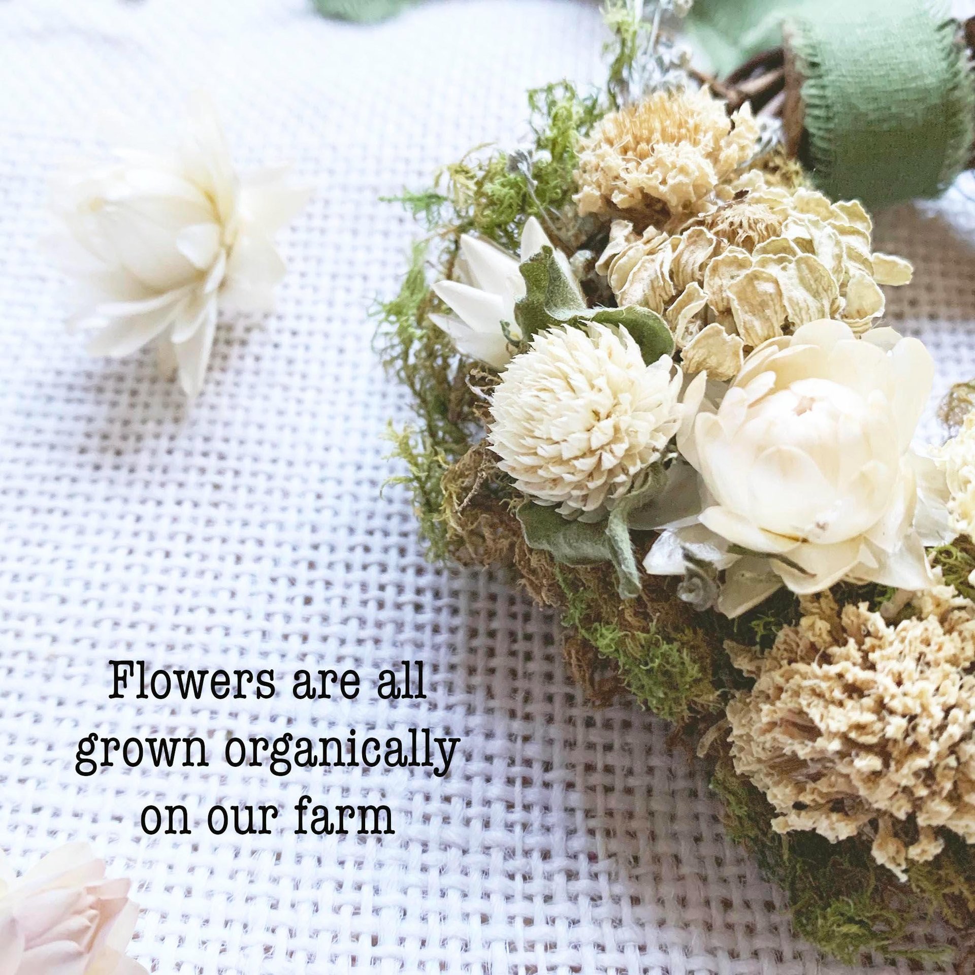 White Christmas Dried Flower Ornament Kit | DIY Natural Craft from Farm Grown Flowers | Set of 4