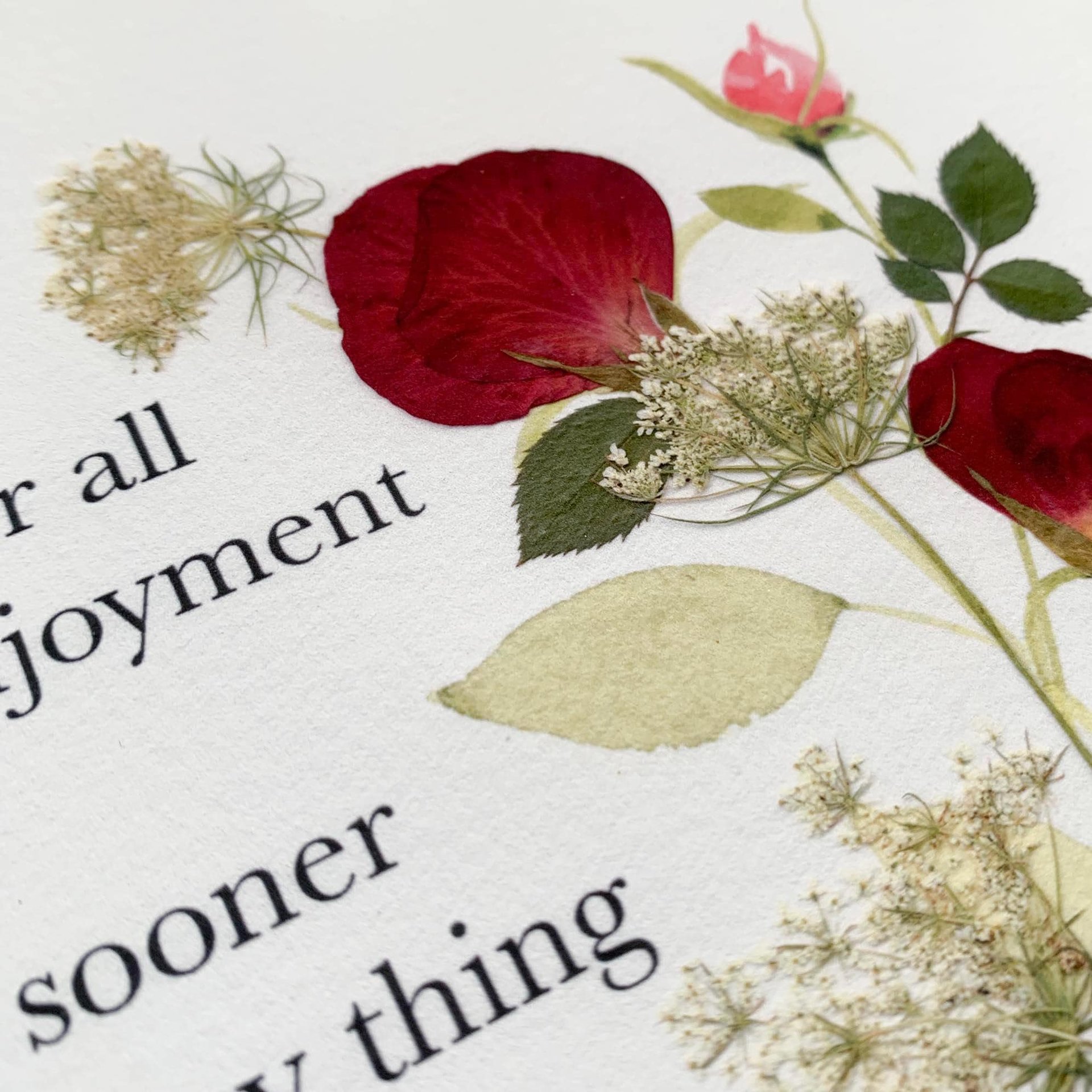 Jane Austen Quote Print, Pride and Prejudice Wall Art, Book Lover Gift, Literary Art Print, Pressed Rose Botanical Decor